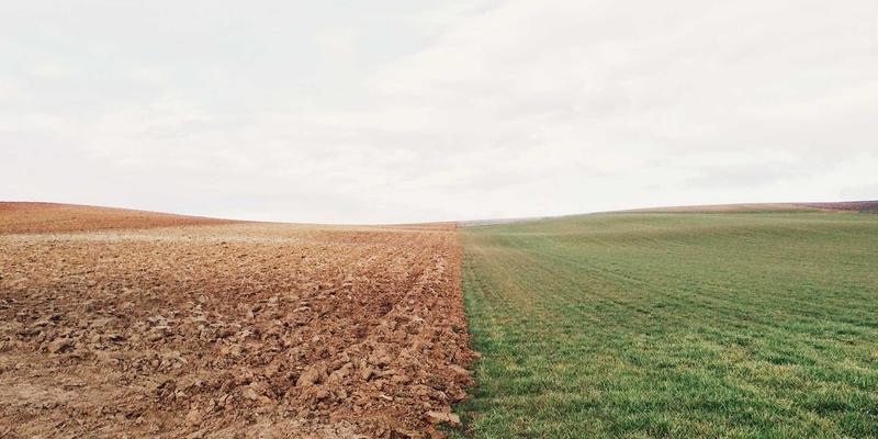 专访石家庄工艺美术大师老邢：揭秘工艺品定制背后的匠心传承