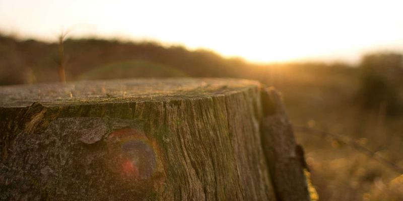 探访石家庄金属工艺品工坊：非遗錾刻技艺在现代定制中的活化与新生
