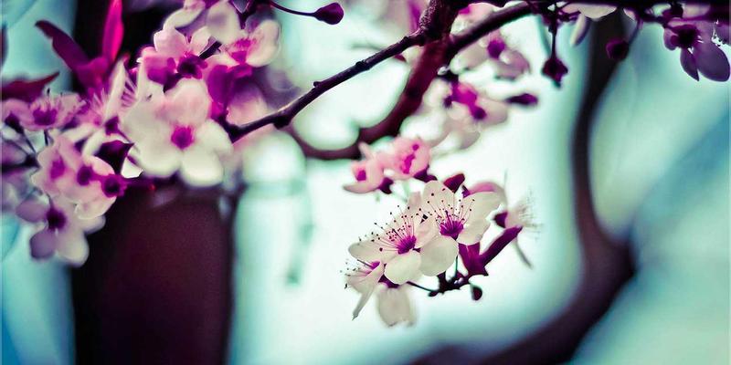 石家庄传统工艺品收藏指南：揭秘值得珍藏的工艺瑰宝与老邢工艺定制