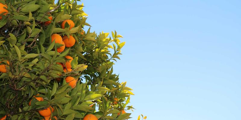 石家庄工艺品89：匠心传承与定制之美，探访老邢工艺的加工艺术