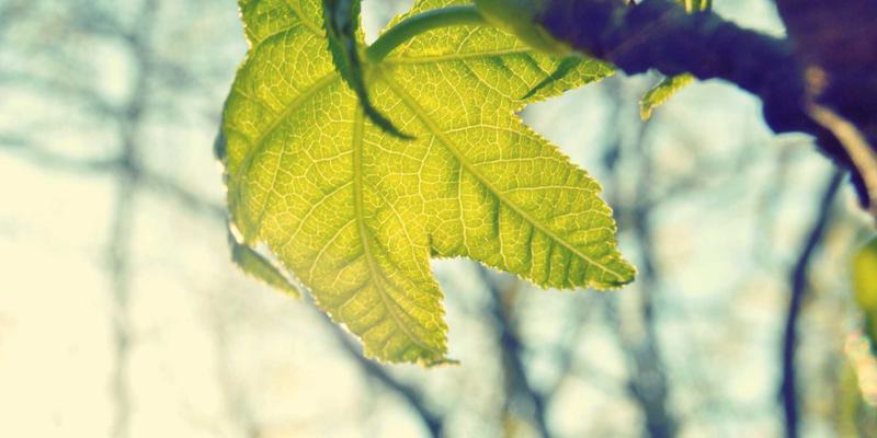 石家庄工艺品如何跨界智能家居？探访老邢工艺将传统藤编、石材工艺嵌入现代智能设备的创新实践