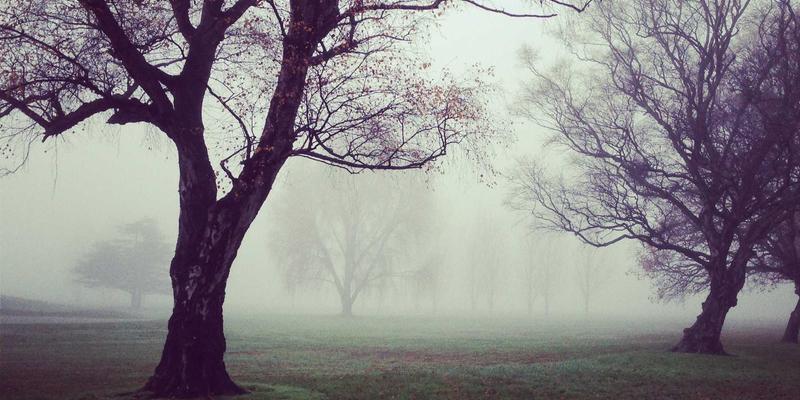 石家庄工艺品电商突围：老邢工艺如何借直播与社群打开全国定制加工市场