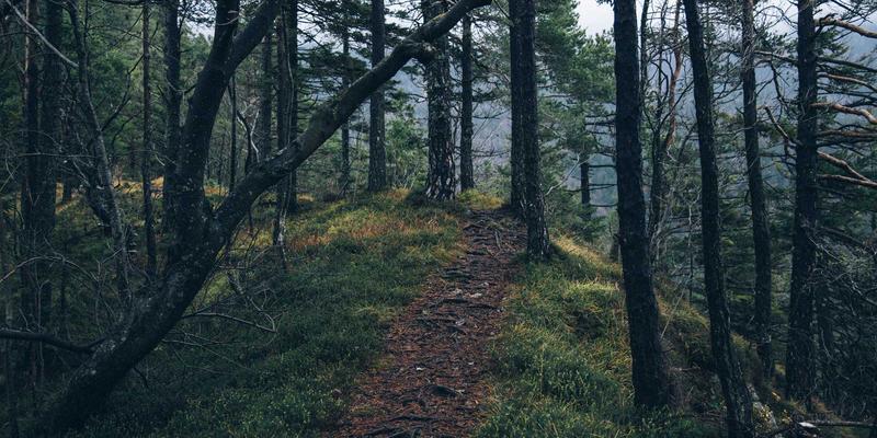 石家庄工艺品跨界新篇章：老邢工艺与餐饮酒店联名打造城市文化伴手礼