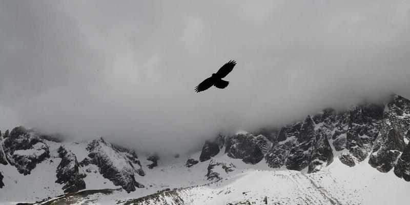 石家庄手工艺品定制加工新标杆：老邢工艺的匠心传承与创新