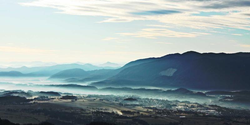 石家庄木雕工艺的传承与创新：井陉根雕的定制加工艺术