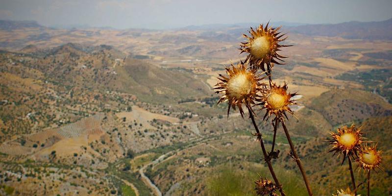 石家庄民俗工艺品在婚礼中的定制加工：为传统注入灵魂的匠心之选